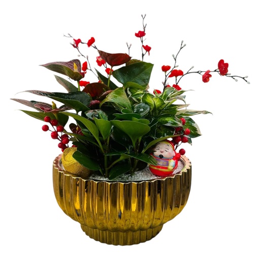 CNY Assorted Plant Arrangements (Gold_G108b)