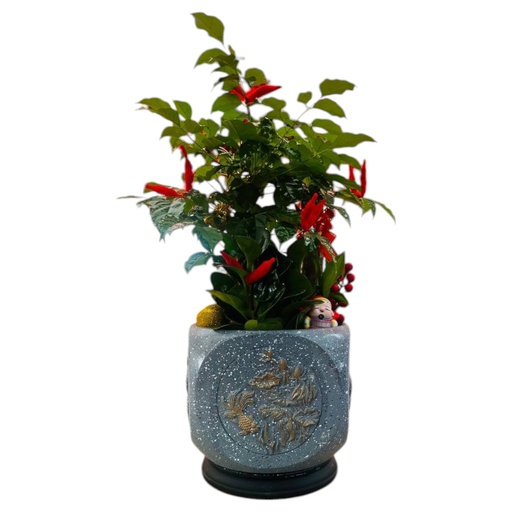 CNY Assorted Plant Arrangements (Grey_SQ108)