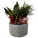 CNY Assorted Plant Arrangements (Grey_R68)